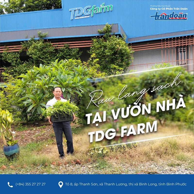Hình ảnh công ty TDG Farm